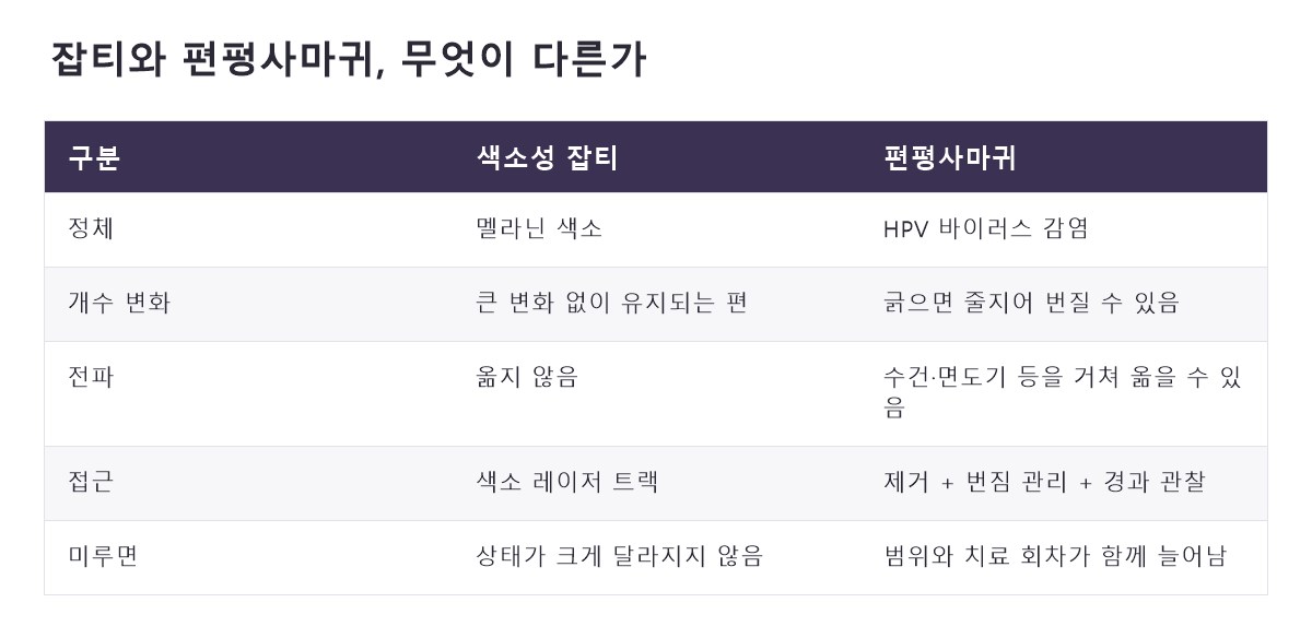 명동편평사마귀 비교 정리표