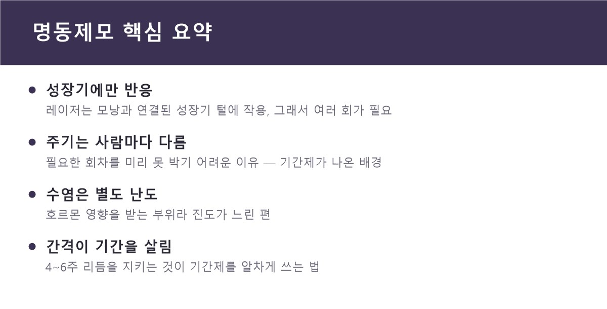 명동제모 핵심 요약
