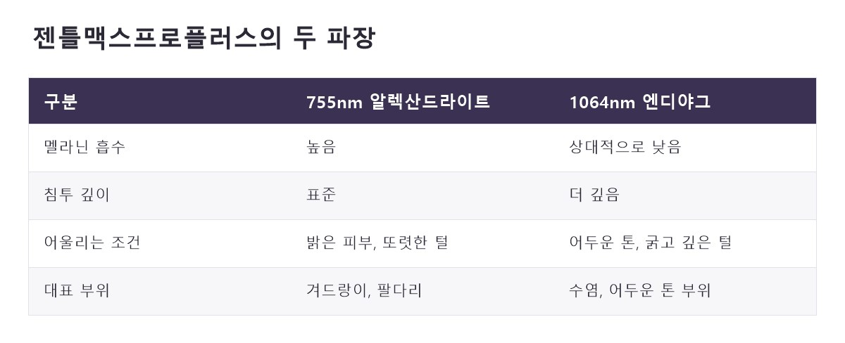 명동제모 비교 정리표