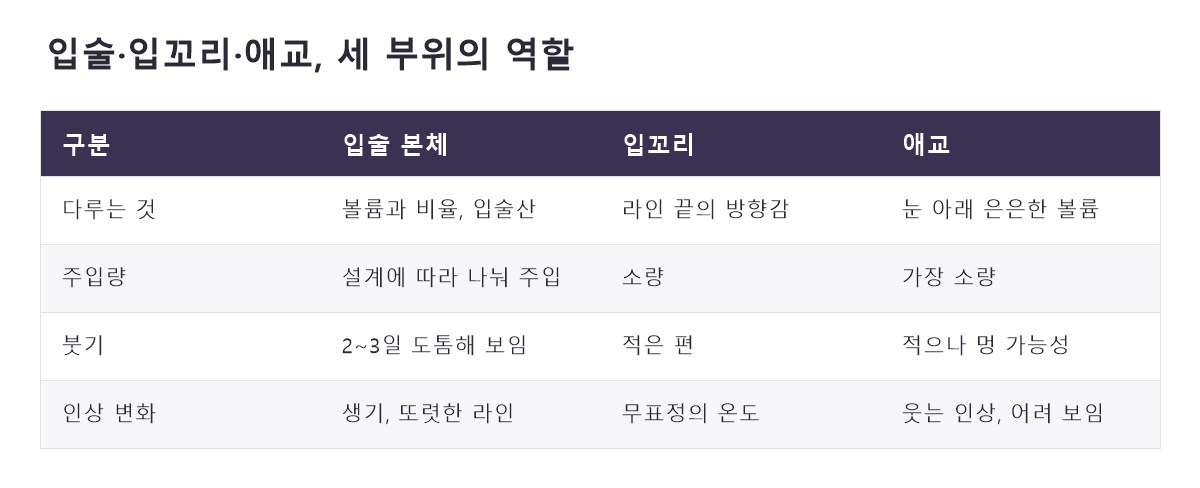 명동입술필러 비교 정리표