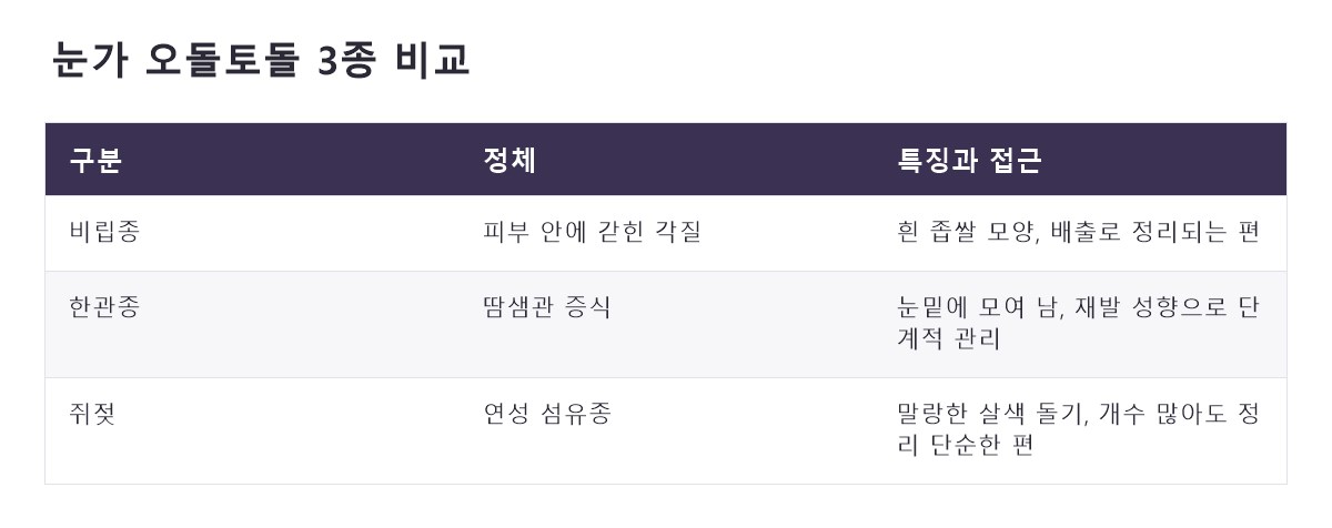 명동점빼기 비교 정리표