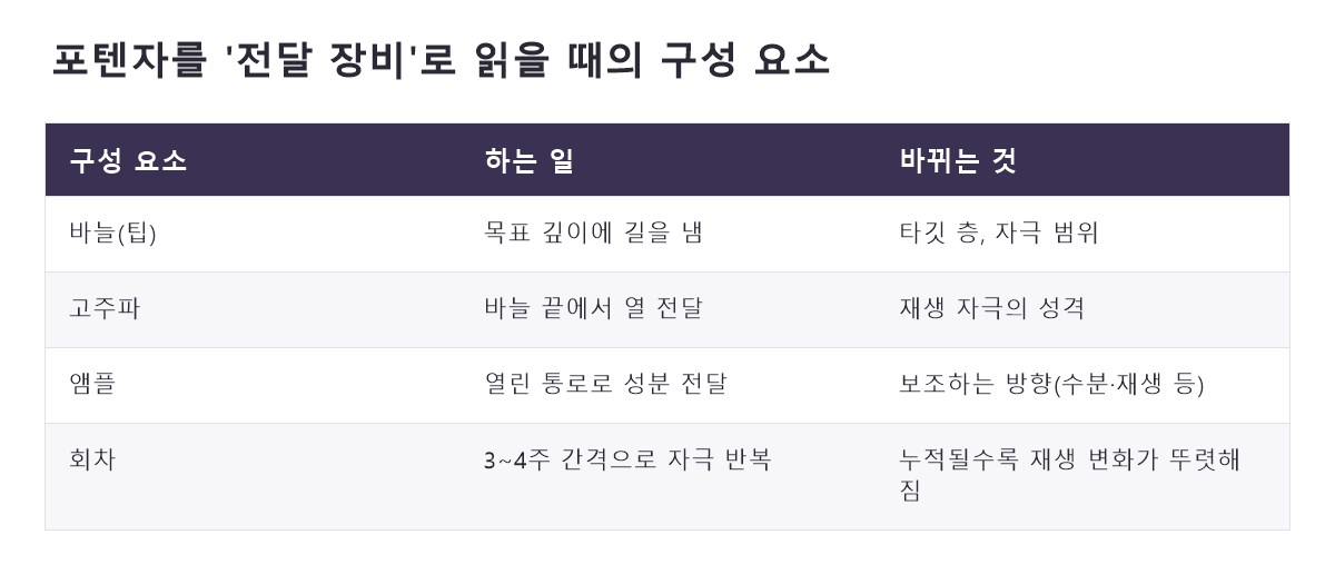 명동포텐자 비교 정리표