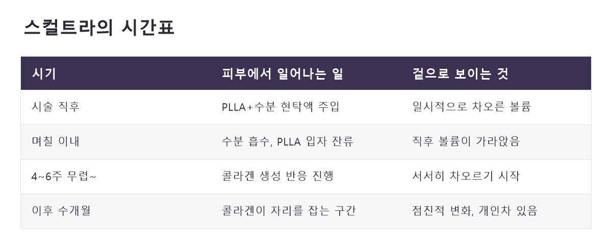 명동스컬트라 비교 정리표